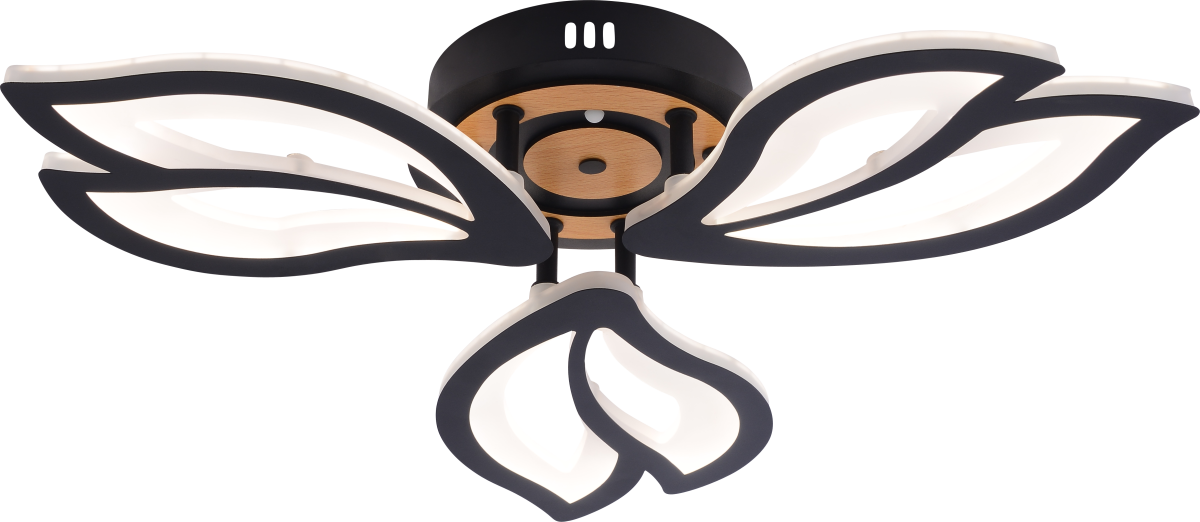 Потолочный светильник Rivoli Lana 6195-703 Б0070142