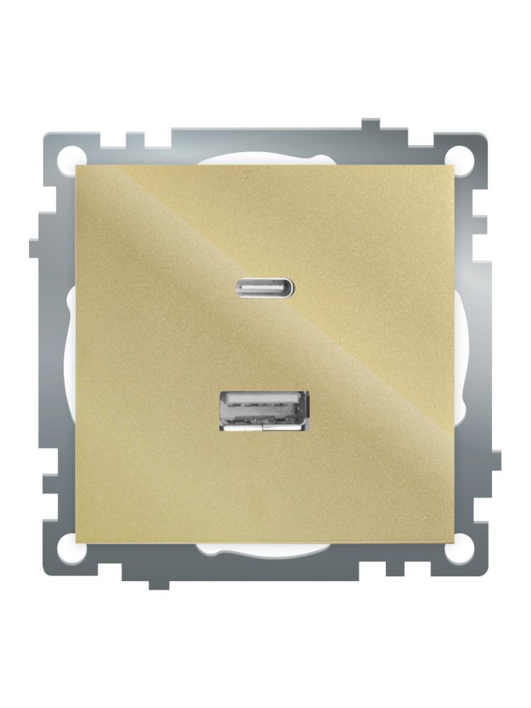 Розетка 2-местная USB + type C Stekker Катрин GLS10-7116-08 50053