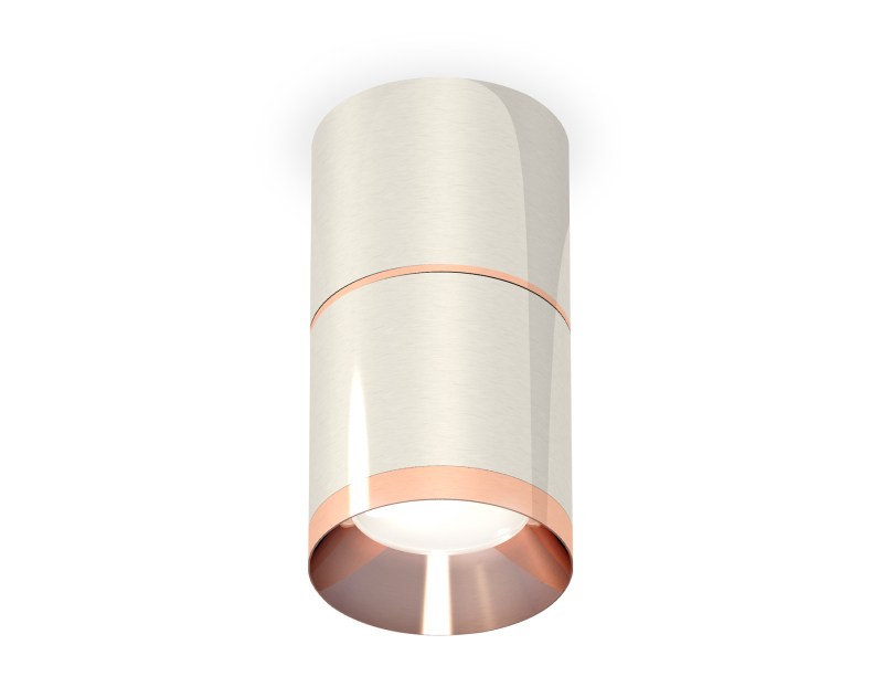 Потолочный светильник Ambrella Light Techno Spot XS7405081 (C7405, A2073, C7405, N7035) Потолочный светильник Ambrella Light Techno Spot XS7405081 (C7405, A2073, C7405, N7035)