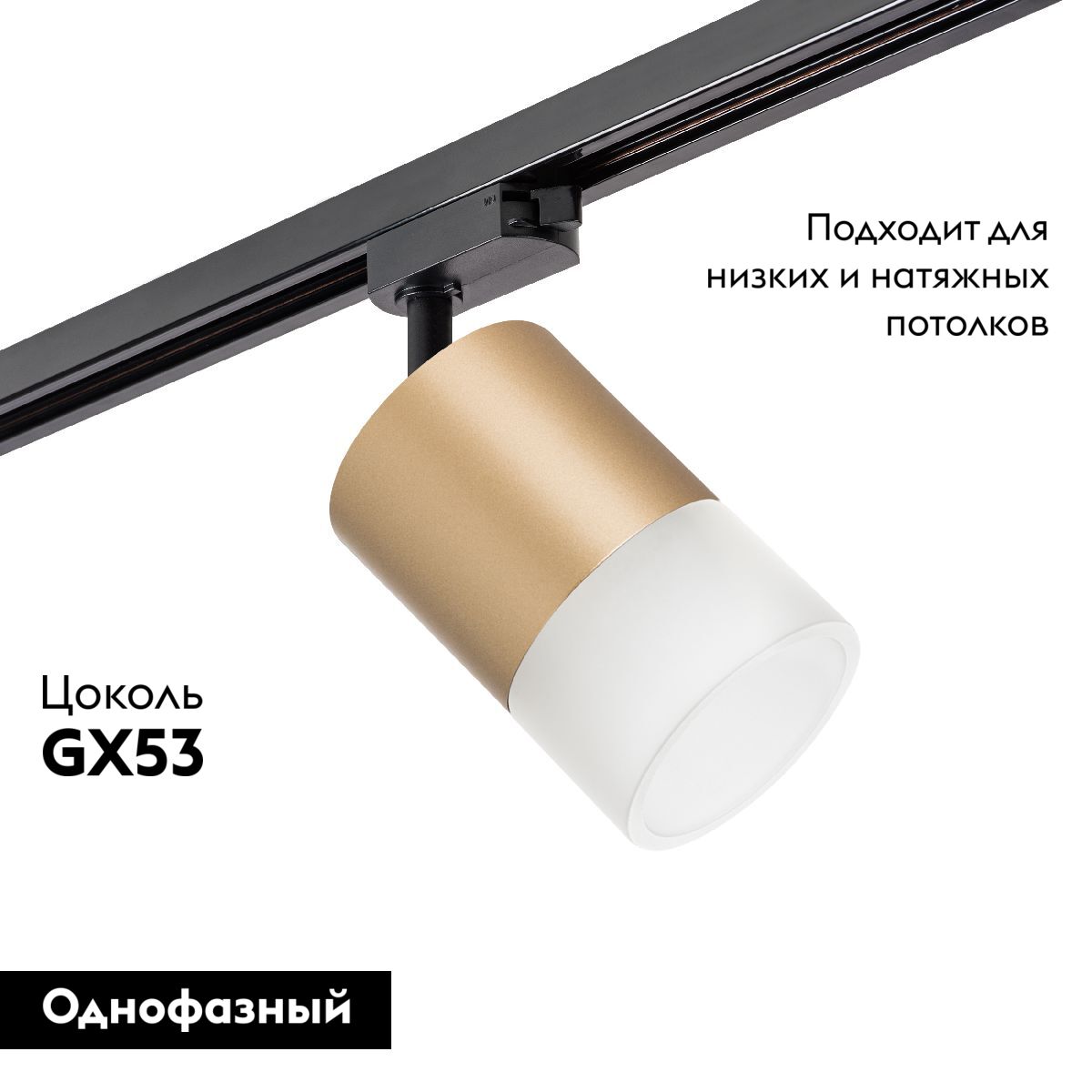 Трековый однофазный светильник Lightstar Rullo (213490+592087+202481) R1T349081