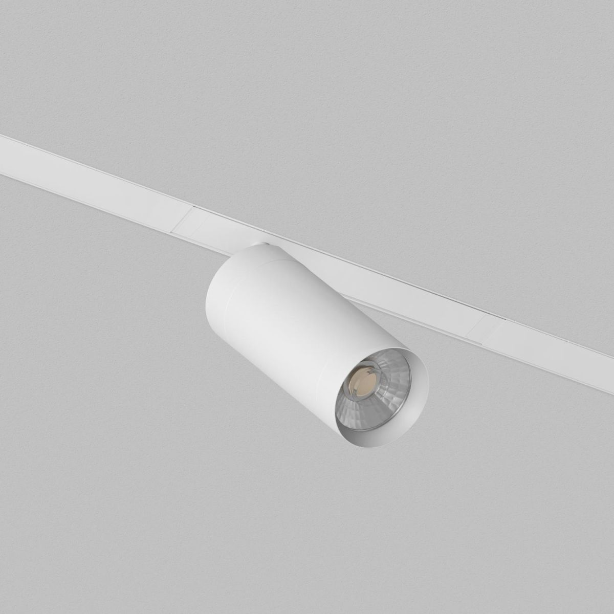 Трековый однофазный светильник Denkirs Simple Spot DK8120-WH