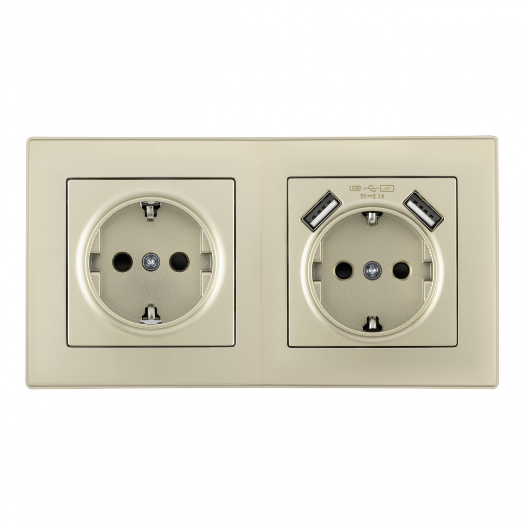 Розетка двойная (двухпостовая) с USB Arte Milano SET06-2-47-1-40-1 shampan