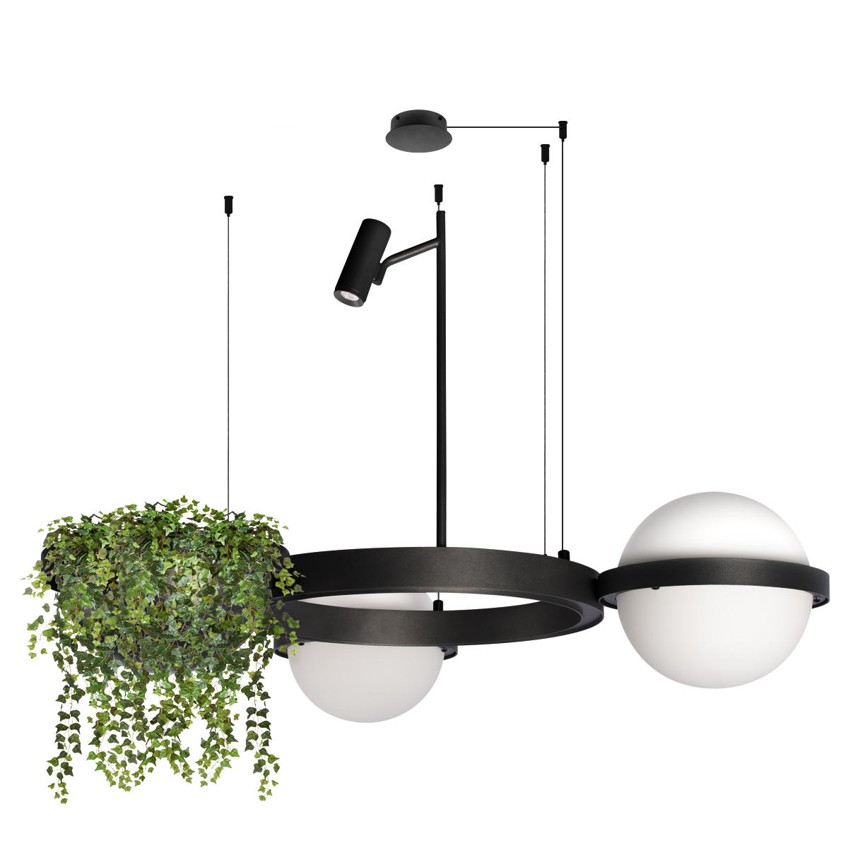 Подвесная люстра Loft IT Jardin 10121/2 Подвесная люстра Loft IT Jardin 10121/2