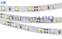 Лента LED, IP33, 12V, SMD3528, 4.8W/м, 60LED/м, белый холодный