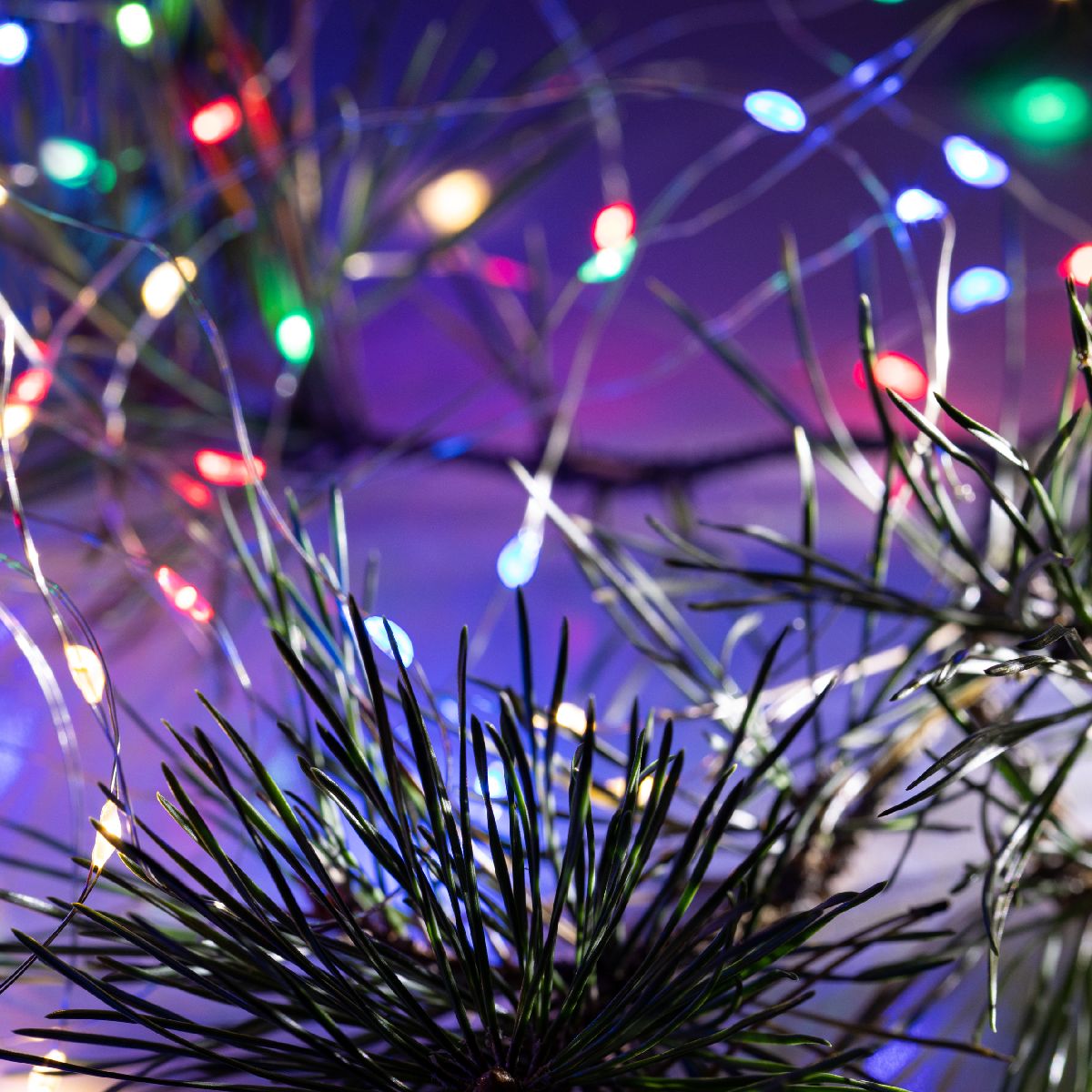 Светодиодная гирлянда Эра ЕGNIG - ZM Б0056000