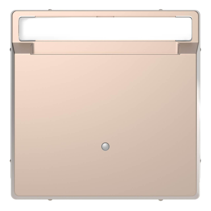 Выключатель карточный Schneider Electric Merten D-Life MTN3854-6051