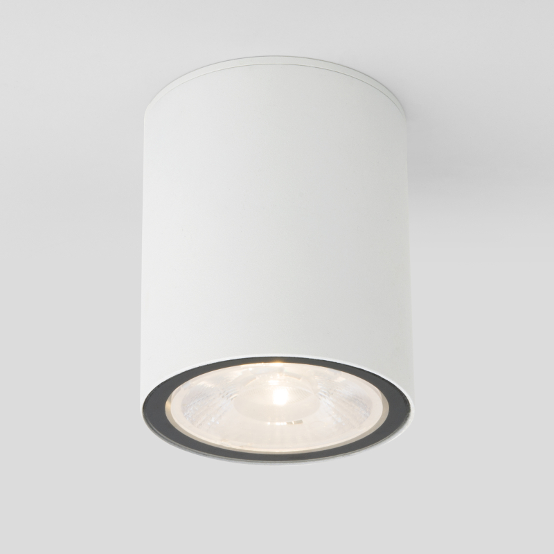 Уличный потолочный светильник Elektrostandard Light LED 4690389176579 Уличный потолочный светильник Elektrostandard Light LED 4690389176579