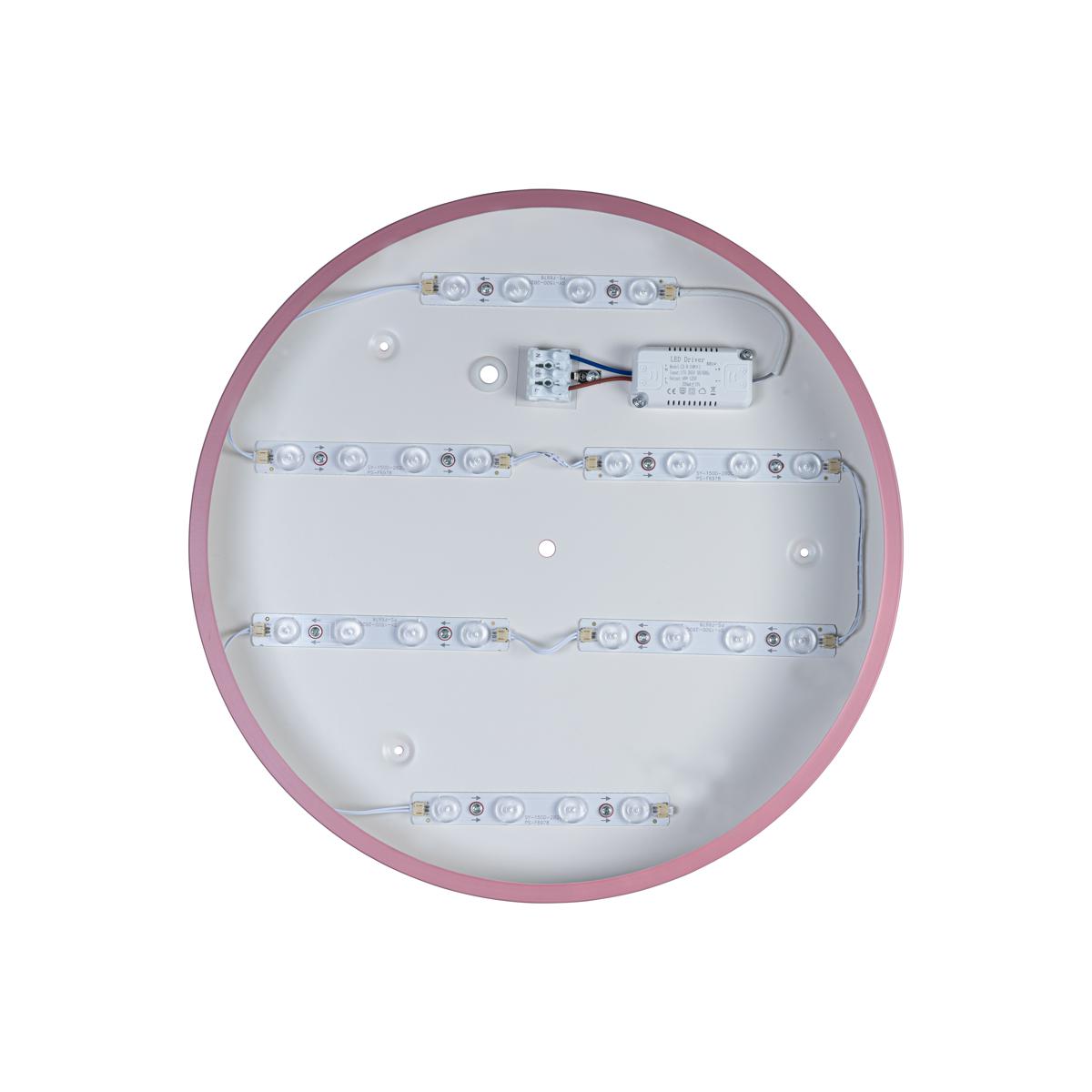 Потолочный светильник Loft IT AXEL 10002/24 Pink
