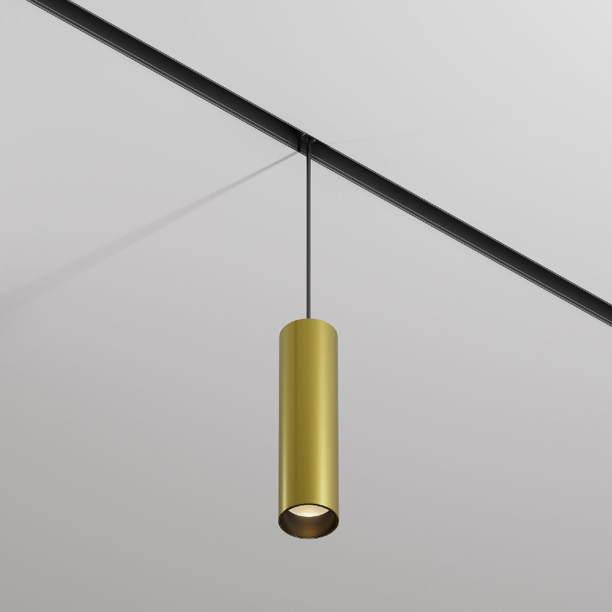 Трековый магнитный светильник Maytoni Focus Led TR041-2-12W3K-BBS