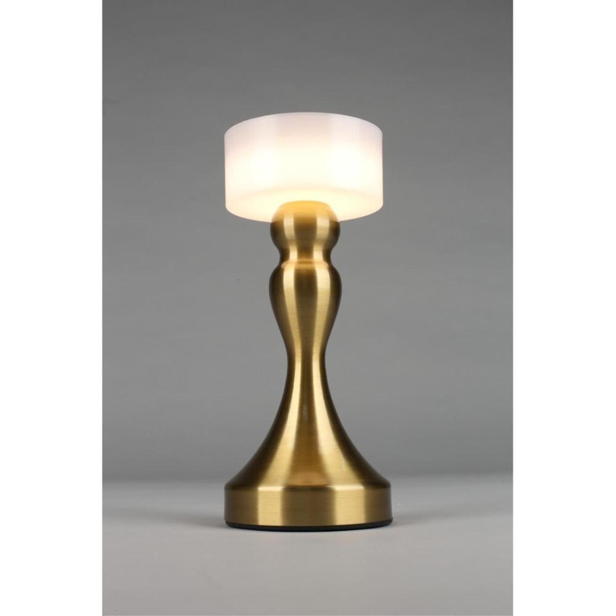 Настольная лампа Omnilux OML-40304-01