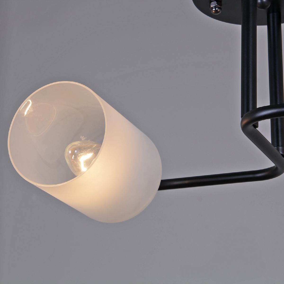 Потолочный светильник Reluce 70187-0.3-02 BK+CR