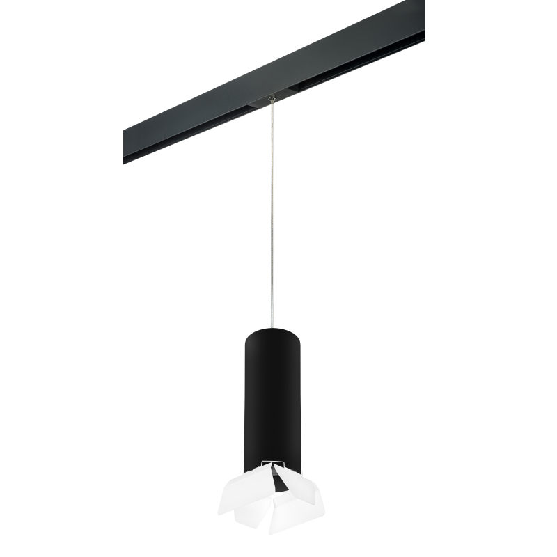 Трековый светильник Lightstar Rullo PRORP6497486 (216497+595887+202486) Трековый светильник Lightstar Rullo PRORP6497486 (216497+595887+202486)