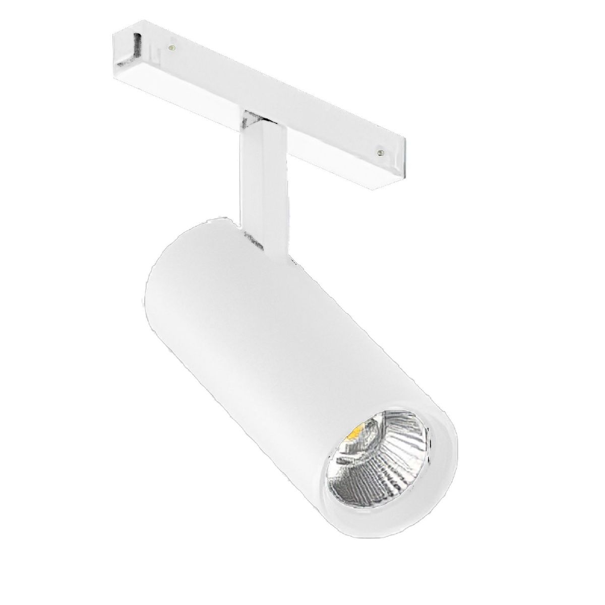 Трековый магнитный светильник Arlight MAG-VIBE-SPOT-R55-18W Day4000-MIX (WH, 24 deg, 48V, TUYA Zigbee) 045005 Трековый магнитный светильник Arlight MAG-VIBE-SPOT-R55-18W Day4000-MIX (WH, 24 deg, 48V, TUYA Zigbee) 045005