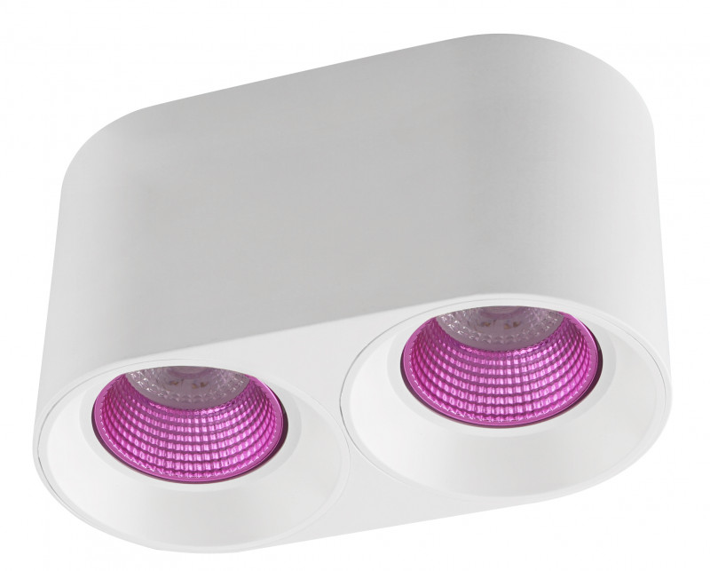 Накладной светильник Denkirs DK3096-WH+PI Накладной светильник Denkirs DK3096-WH+PI