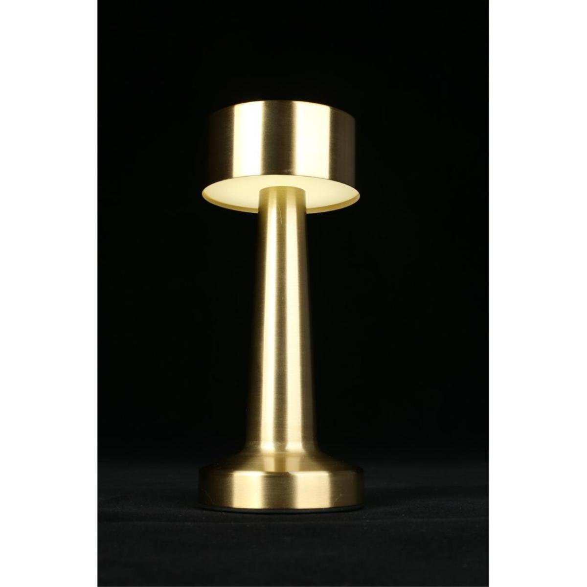 Настольная лампа Aployt Perrayn APL.671.04.01