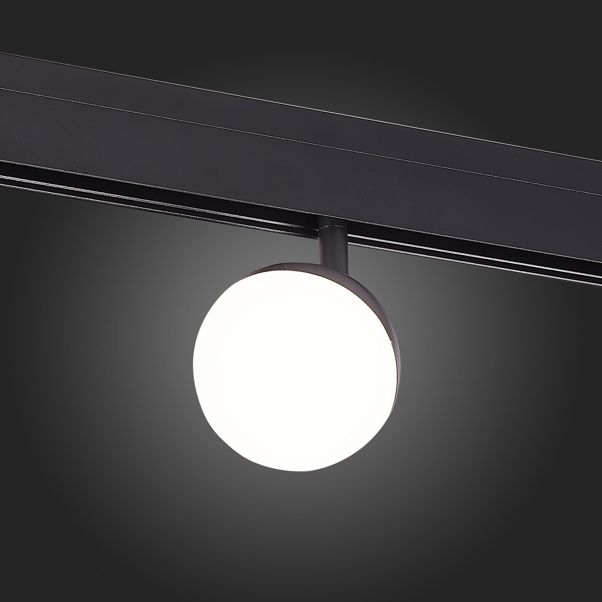 Трековый светильник ST Luce Pibole ST358.446.07