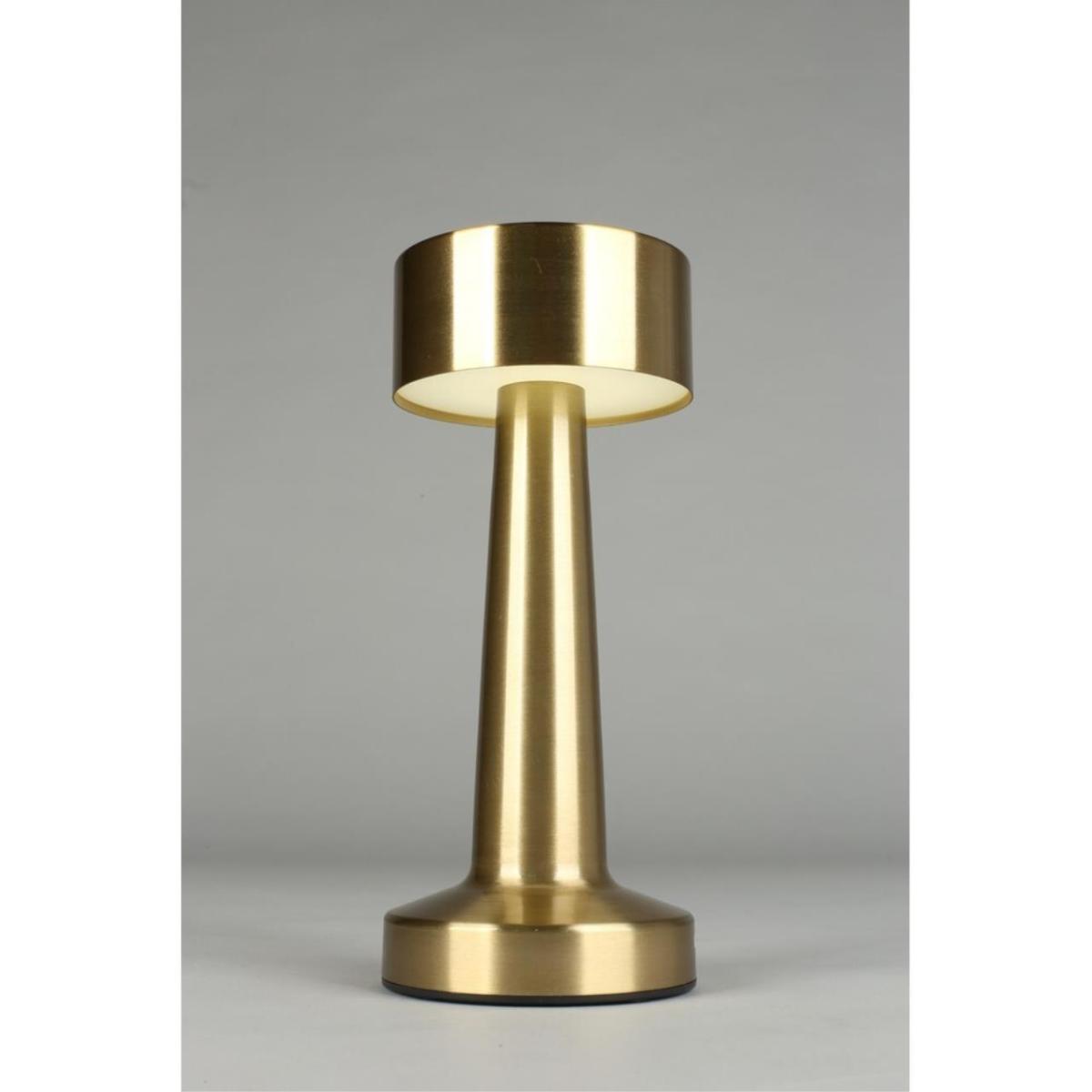 Настольная лампа Aployt Perrayn APL.671.04.01