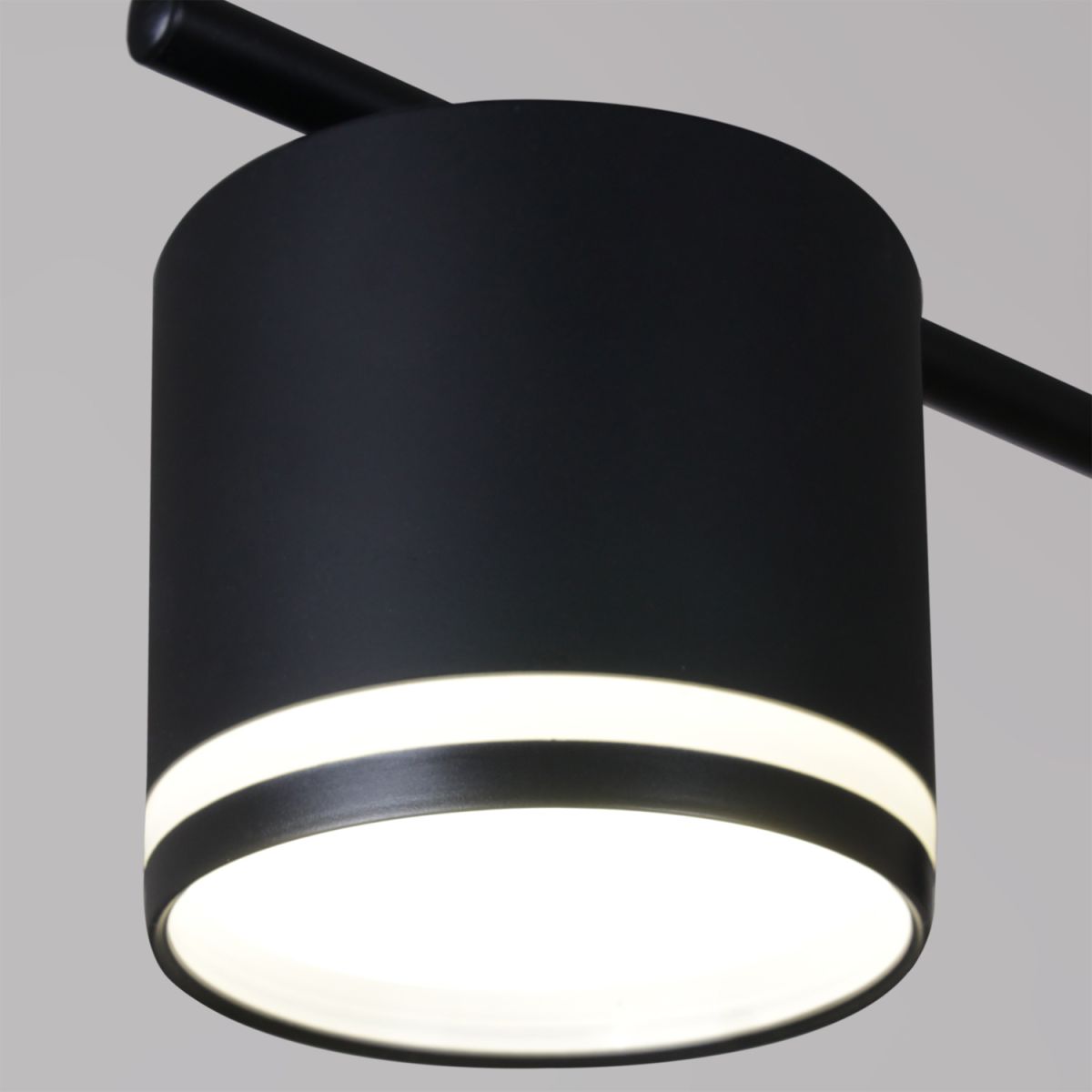 Потолочная люстра Reluce 22008-0.3-06 GX53