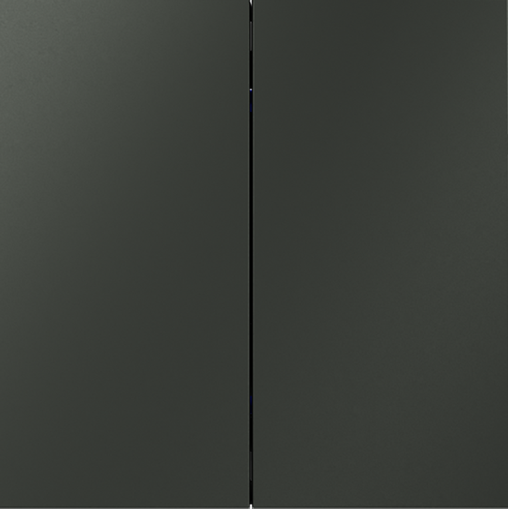 Выключатель с самовозвратом двухклавишный Voltum S70 VLS020606 (титан)