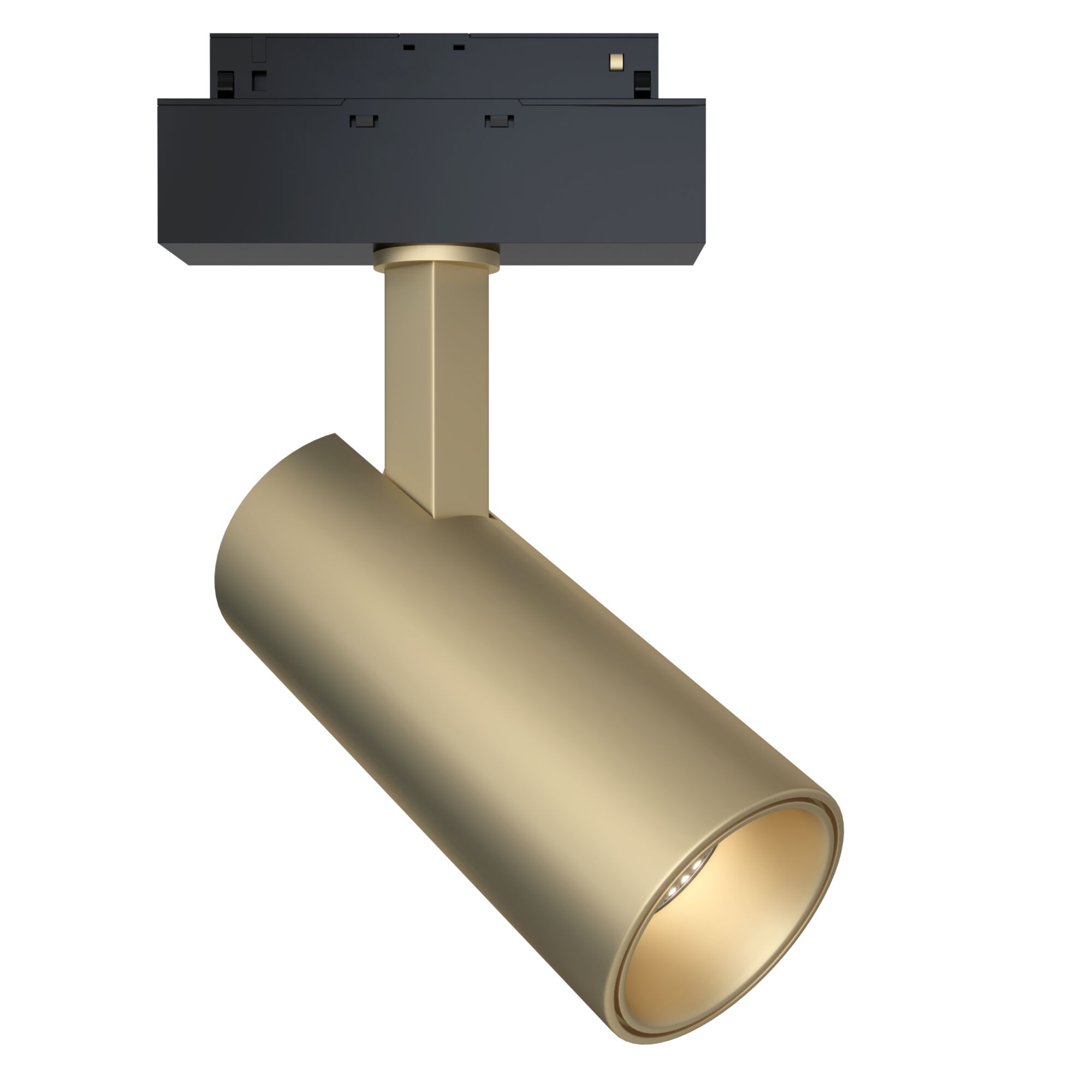 Трековый светильник Maytoni Focus LED  TR019-2-15W4K-MG