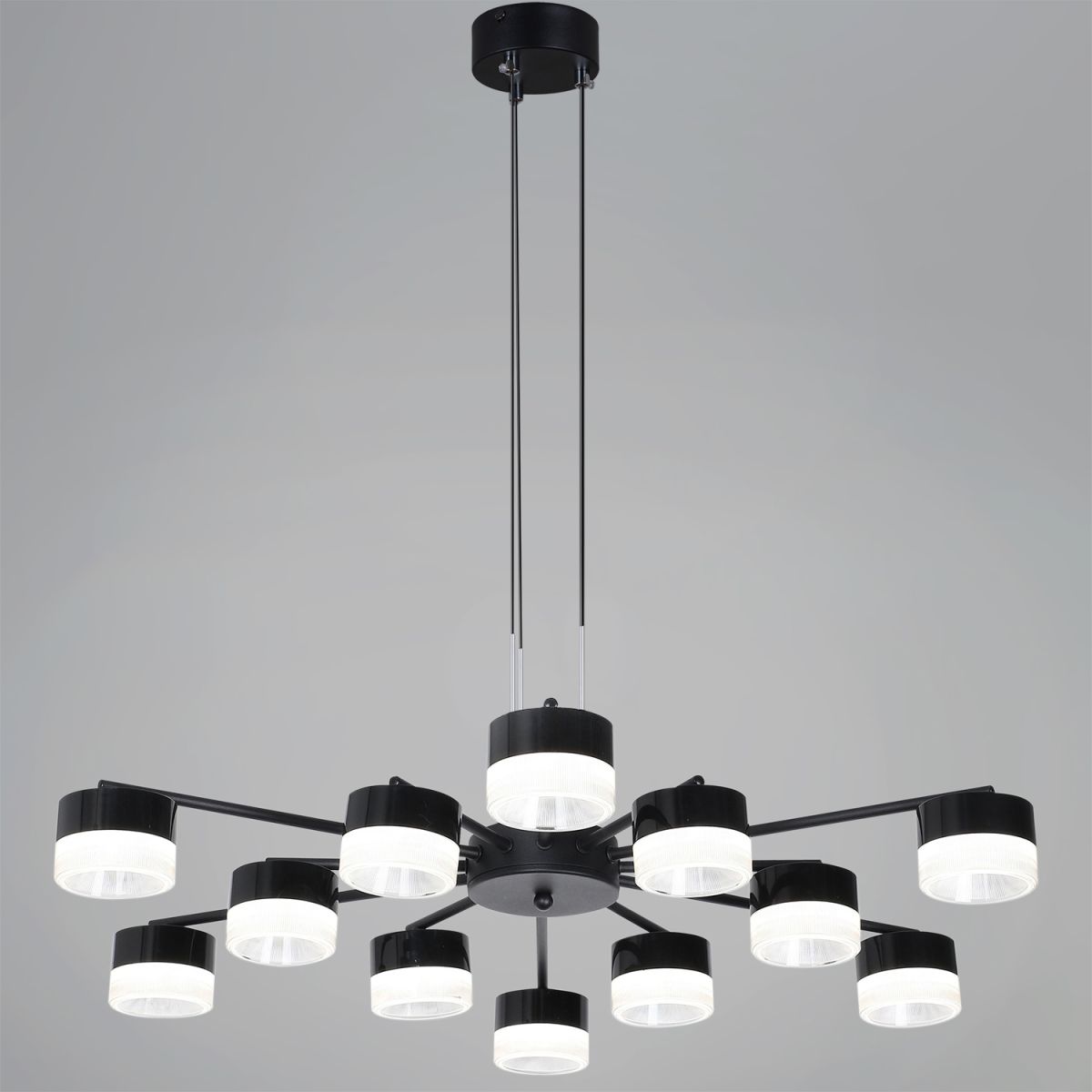 Потолочная люстра Reluce 19490-0.4-6+6 Black