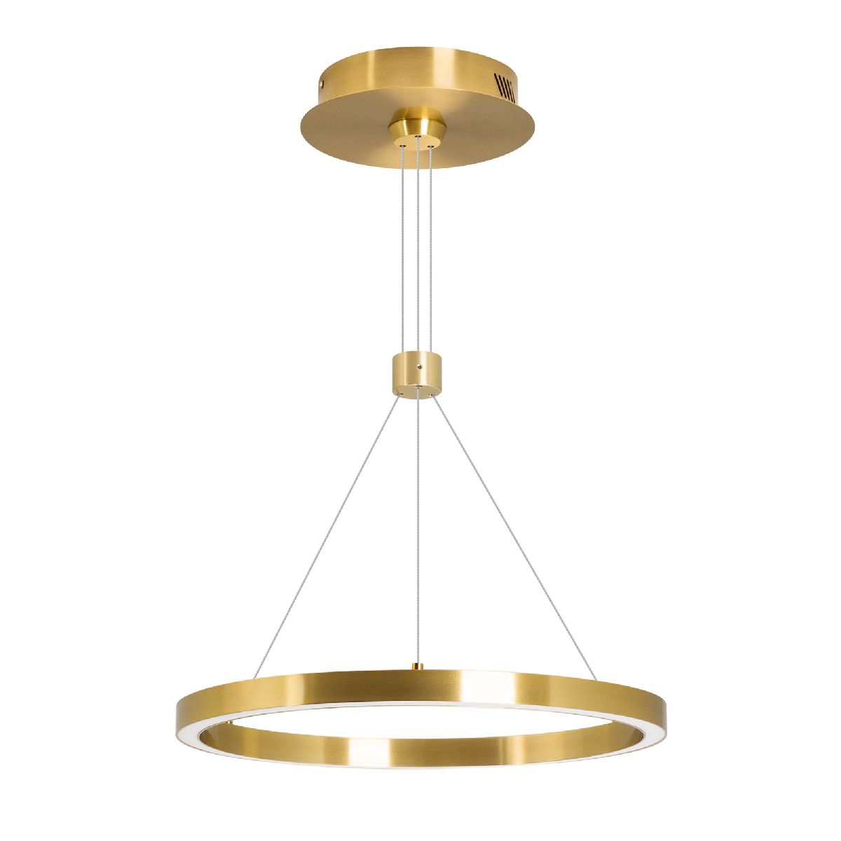 Подвесной светильник Arlight SP-CONGO-CAN-1-R400-24W Day4000 (GD, 120 deg, 230V) 046210 Подвесной светильник Arlight SP-CONGO-CAN-1-R400-24W Day4000 (GD, 120 deg, 230V) 046210