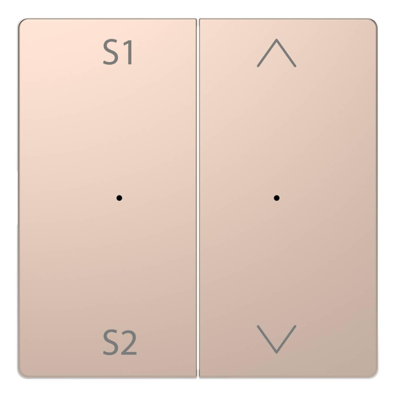 Клавиша двойная Schneider Electric Merten D-Life MTN5227-6051