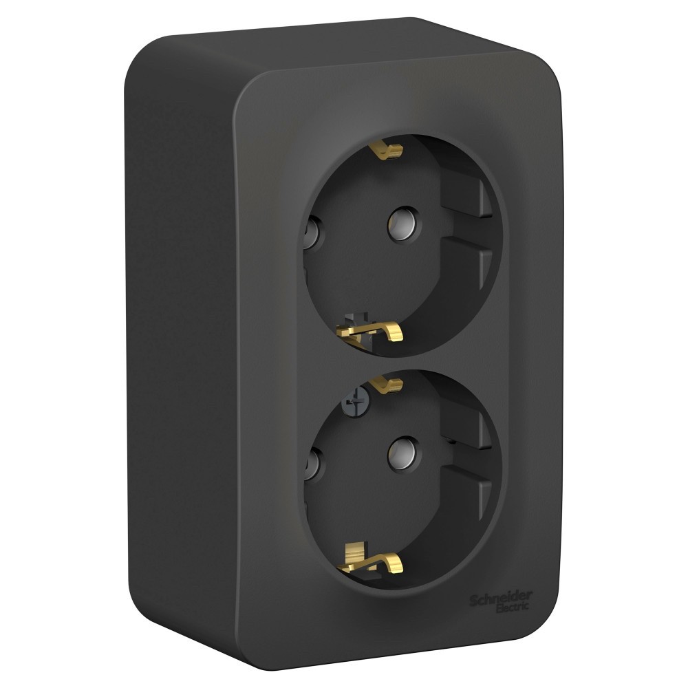 Розетка 2-ая с/з без шторок 16А, 250В, изолир. Пластина Systeme Electric Blanca наруж Антрацит BLNRA010216