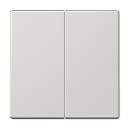 Клавиша 2-ная Jung LS990 LS995LG