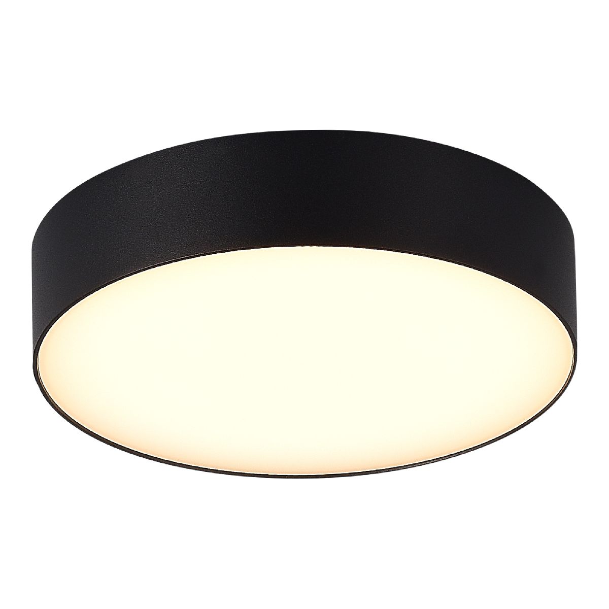 Уличный потолочный светильник ST Luce Sun SL9518.402.01 Уличный потолочный светильник ST Luce Sun SL9518.402.01