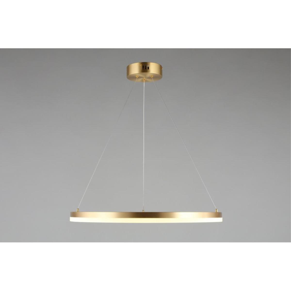 Подвесной светильник Aployt Armel APL.049.13.40