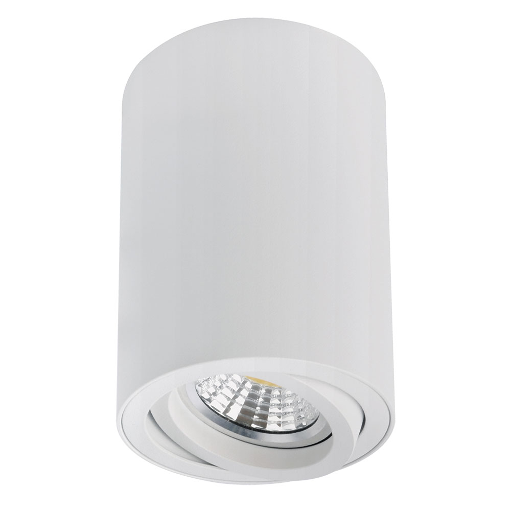 Накладной светильник Arte Lamp Sentry A1566PL-1WH Накладной светильник Arte Lamp Sentry A1566PL-1WH