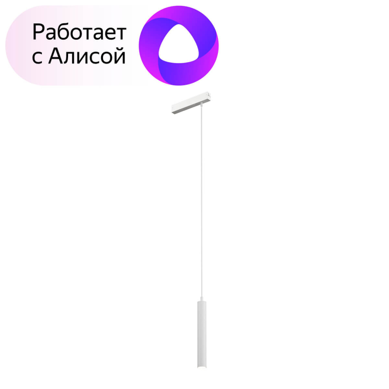 Трековый светильник Denkirs Smart DK8008-WH Трековый светильник Denkirs Smart DK8008-WH