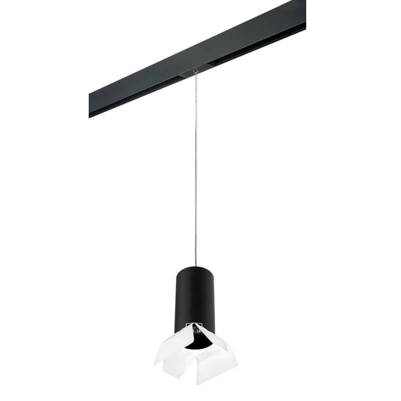 Трековый светильник Lightstar Rullo PRORP6487486 (216487+595887+202486) Трековый светильник Lightstar Rullo PRORP6487486 (216487+595887+202486)