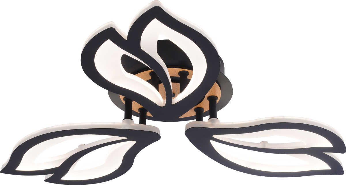 Потолочный светильник Rivoli Lana 6195-703 Б0070142