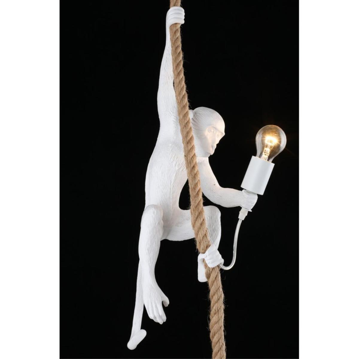 Подвесной светильник Aployt Magali APL.309.06.01