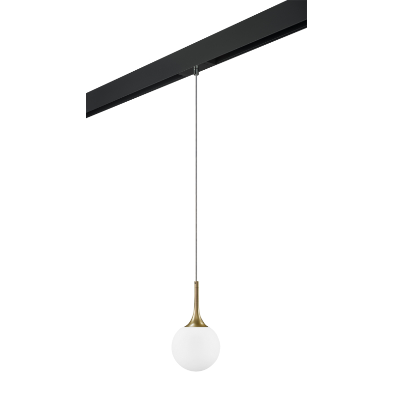 Трековый светильник Lightstar Globo PRO813012 (813012+595007) Трековый светильник Lightstar Globo PRO813012 (813012+595007)