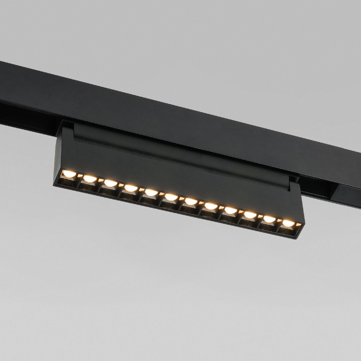 Трековый магнитный светильник Elektrostandard Slim Magnetic 4690389206412 85010/01 a067370 Трековый магнитный светильник Elektrostandard Slim Magnetic 4690389206412 85010/01 a067370