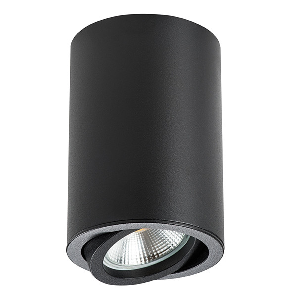 Накладной светильник Lightstar Rullo 214407 Накладной светильник Lightstar Rullo 214407