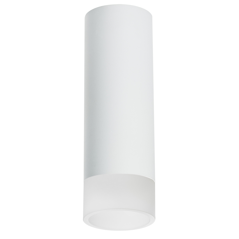 Накладной светильник Lightstar Rullo R48631 (214486+202431) Накладной светильник Lightstar Rullo R48631 (214486+202431)