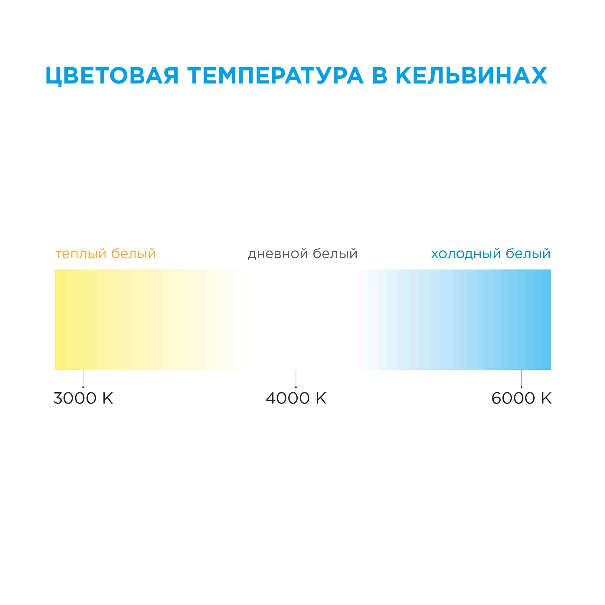 Комплект светодиодной ленты OGM 12В 4,8Вт/м smd3528, 60д/м IP65 220Лм/м 5м 6500К (адаптер питания, коннектор)  SL-26