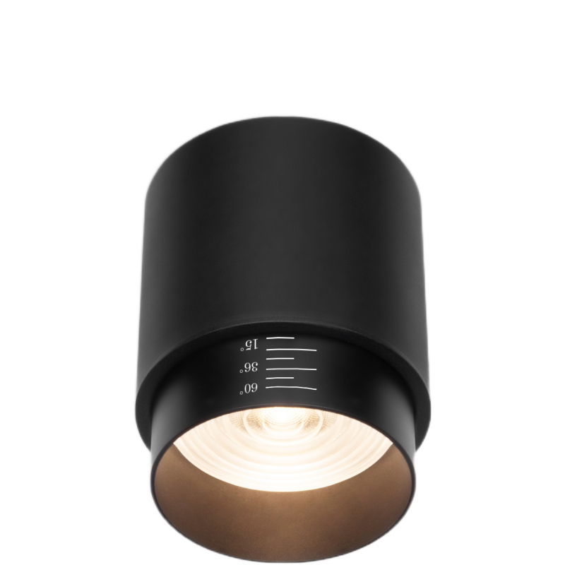 Накладной светильник Elektrostandard Cors 25032/LED 4690389192166 a062384 Накладной светильник Elektrostandard Cors 25032/LED 4690389192166 a062384