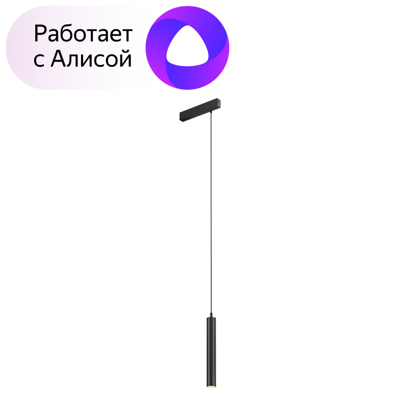 Трековый светильник Denkirs Smart DK8008-BK Трековый светильник Denkirs Smart DK8008-BK