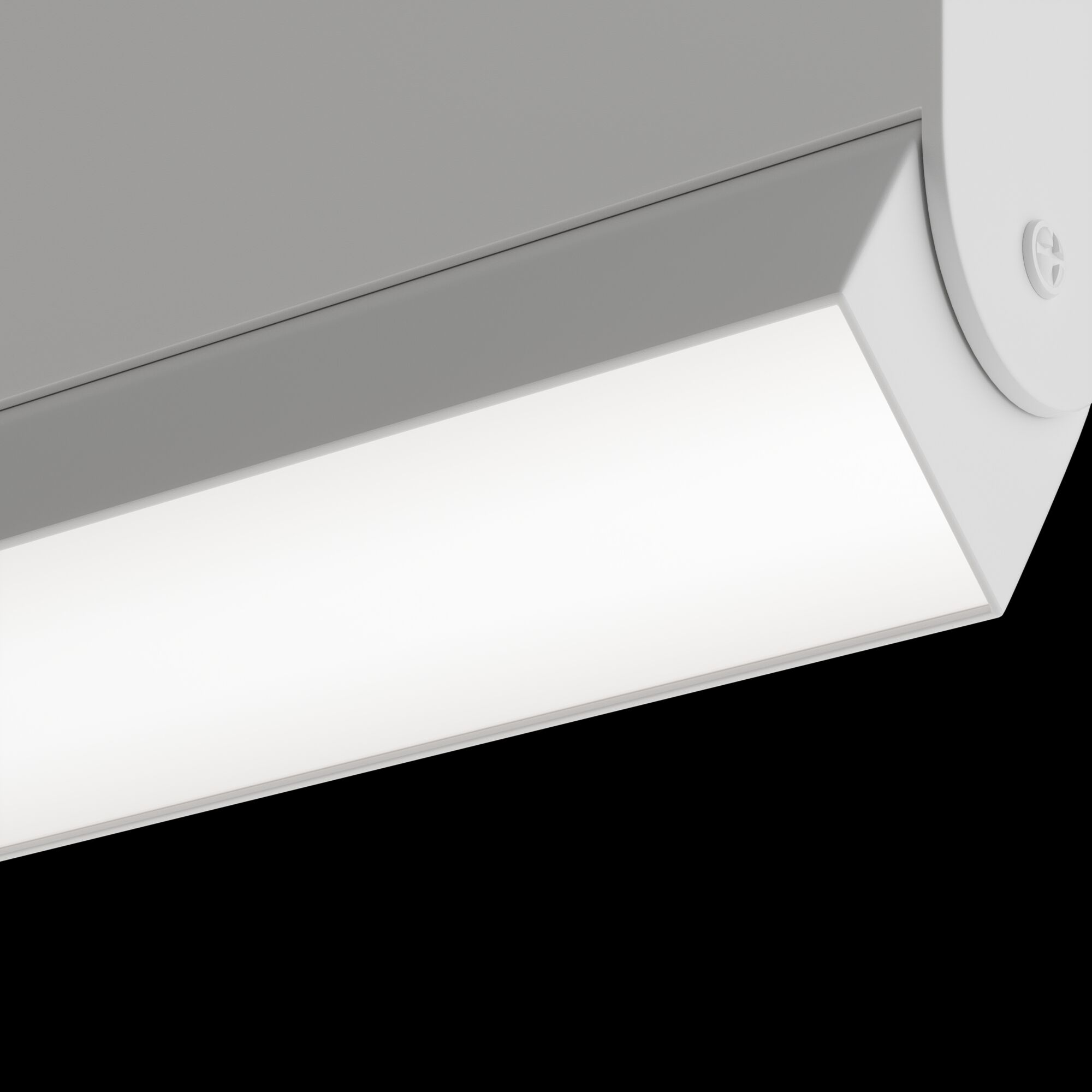 Трековый светильник Maytoni Technical BASIS TR013-2-10W3K-W