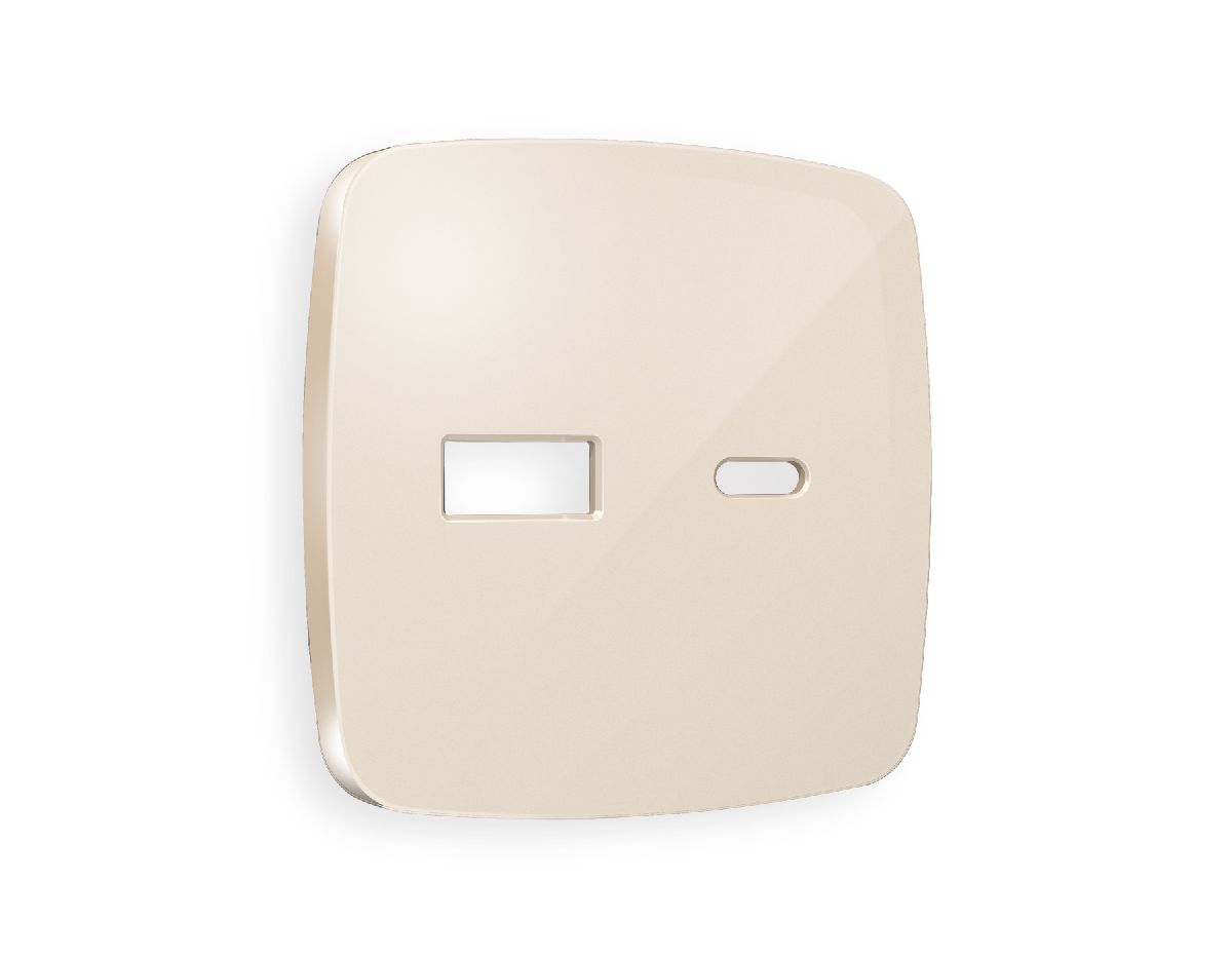 Лицевая панель для розетки 2USB тип A+C Ambrella Volt Omega OP3110