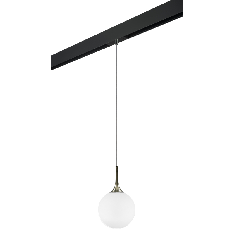 Трековый светильник Lightstar Globo PRO813021 (813021+595007) Трековый светильник Lightstar Globo PRO813021 (813021+595007)