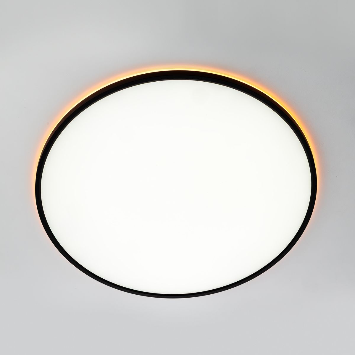 Потолочный светильник Citilux Norma CL749601