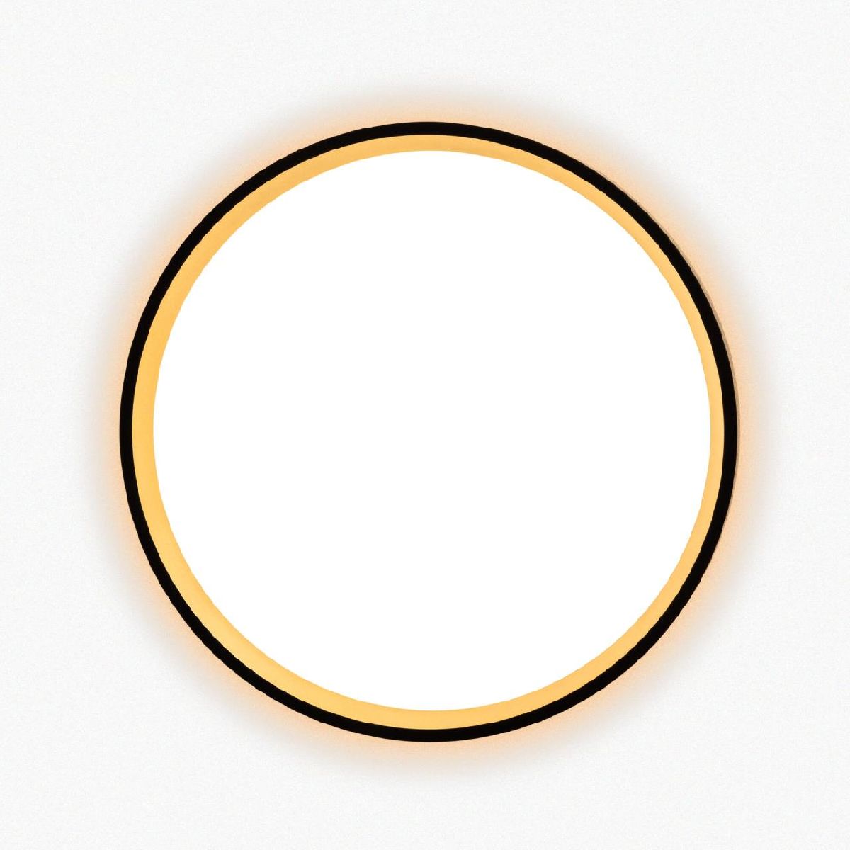 Настенно-потолочный светильник Citilux Etalon CL750241