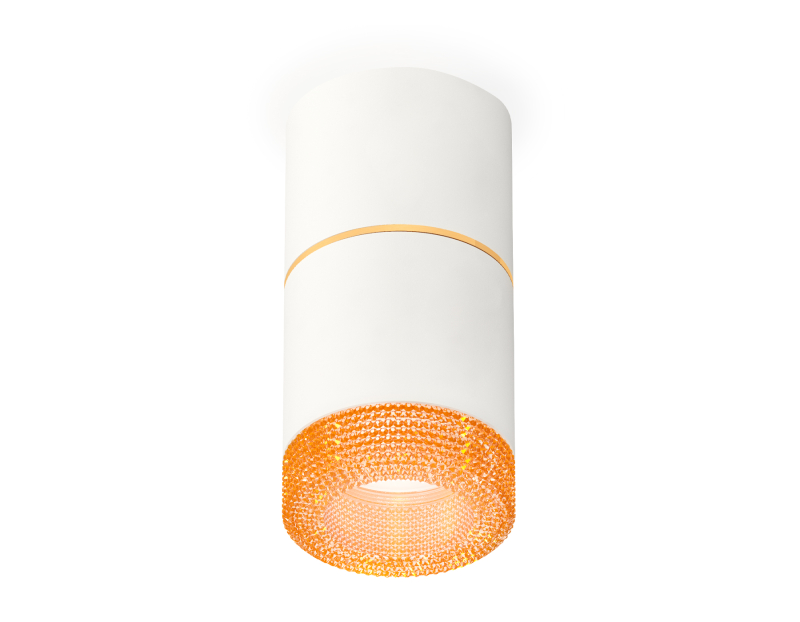 Потолочный светильник Ambrella Light Techno Spot XS7401202 (C7401, A2072, C7401, N7195) Потолочный светильник Ambrella Light Techno Spot XS7401202 (C7401, A2072, C7401, N7195)