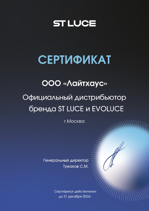 Потолочная светодиодная люстра Evoluce Nobel SLE201052-06